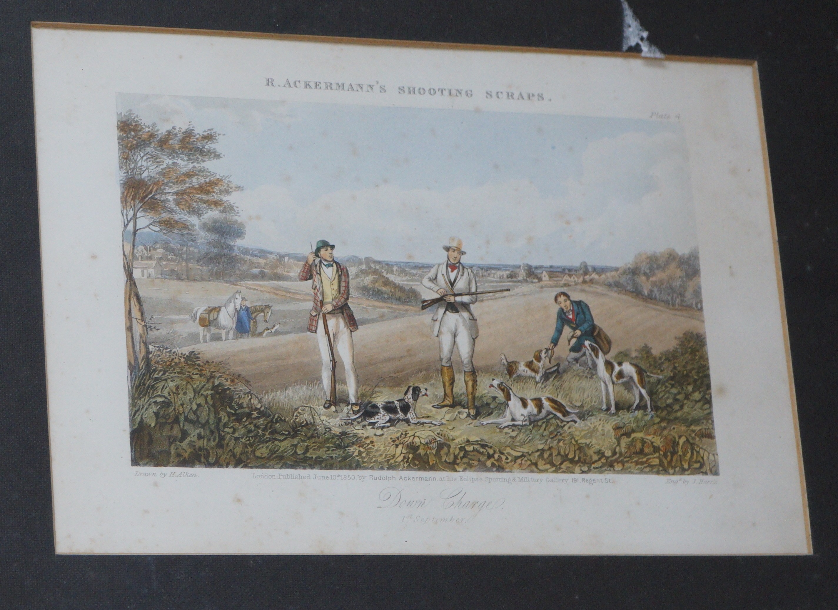 A group of assorted prints comprising set of four Victorian botanical studies, 23 x 16cm, a set of six chromolithographs of chickens, a set of four Henry Rushbury colour prints and a shooting scrap